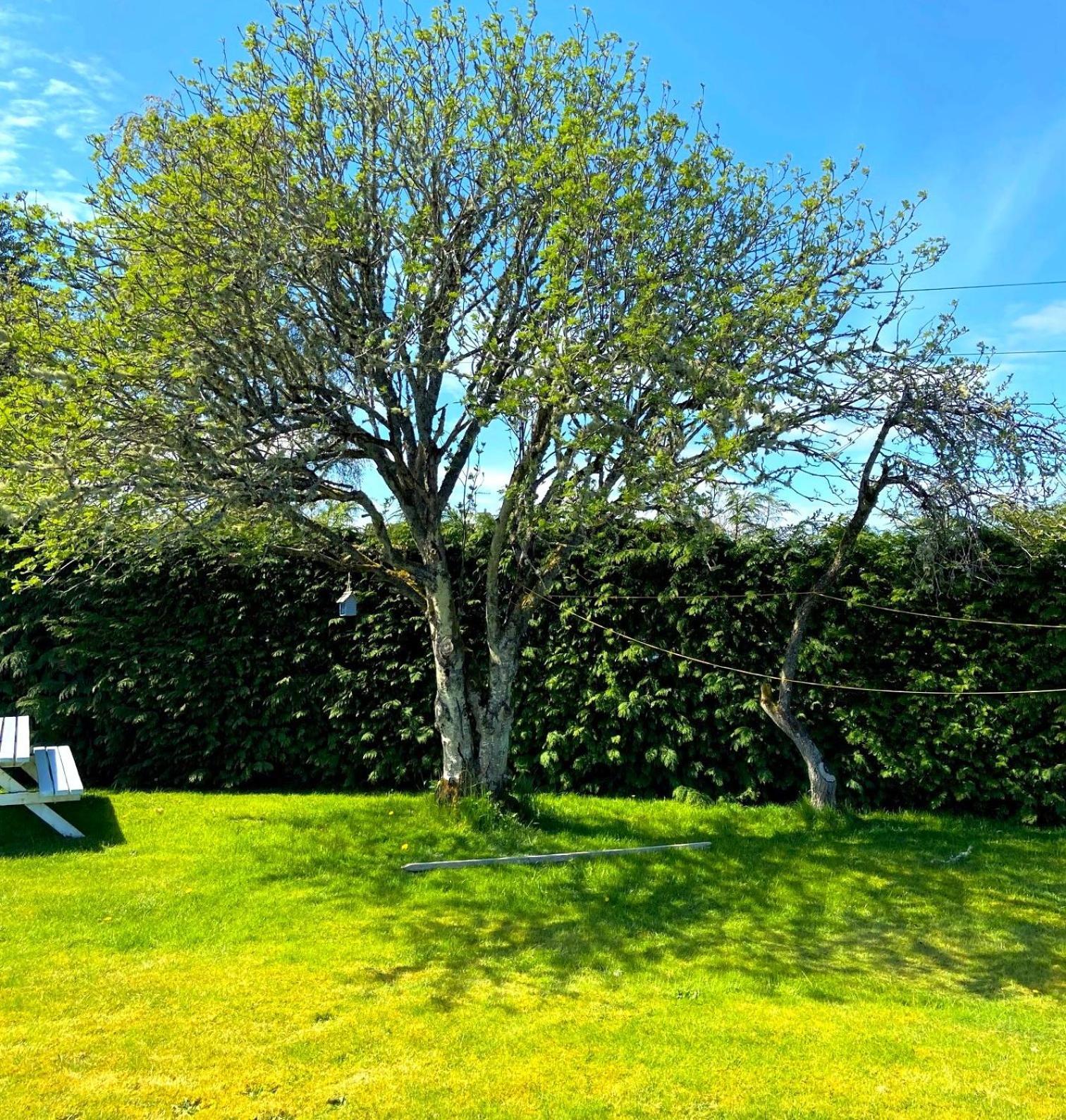 26 Green Drive Inverness Inshes Eksteriør billede